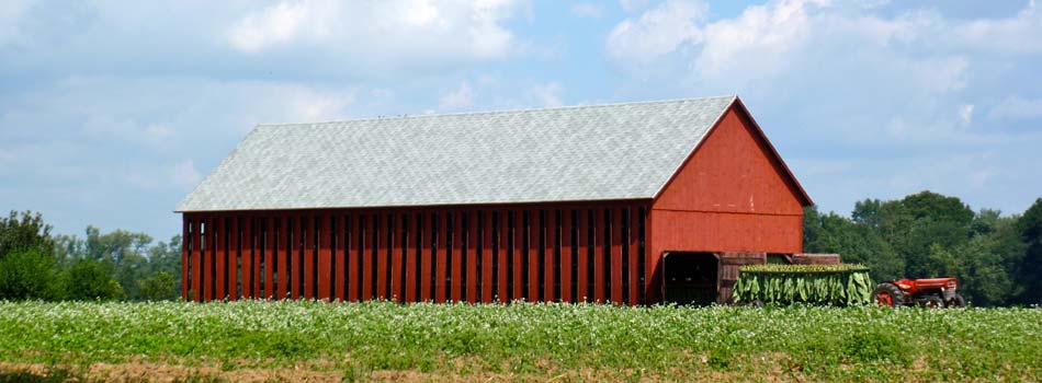 homepage_image.jpg homepage_image.jpg